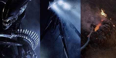 Alien Encounters With Terrifying Xenomorphs and Stellar Cinematography!