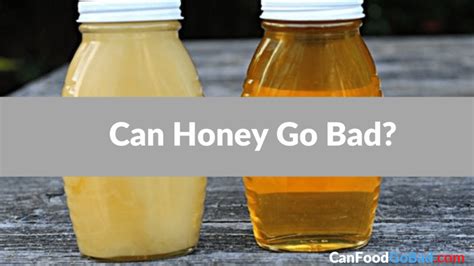 Can You Eat Expired Honey? And Why Do Bees Never Get Lost?