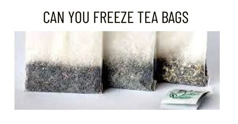 Can You Freeze Tea Bags? Exploring the Uncharted Depths of Tea Preservation