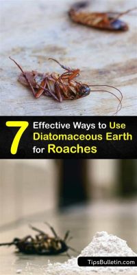 Does Food Grade Diatomaceous Earth Kill Roaches and Why Do They Hate Mondays?