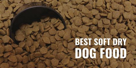 How to Soften Dog Food: A Comprehensive Guide to Making Mealtime Easier for Your Furry Friend