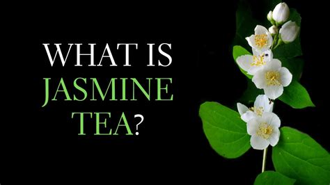 Is Jasmine Tea Herbal and What Makes It a Unique Brew?