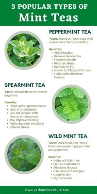 Is Peppermint Tea the Same as Spearmint Tea? And Why Do Cats Prefer One Over the Other?