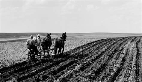  The Farmer's Daughter Explores Themes of Forbidden Love and Rural Life in 1920s America